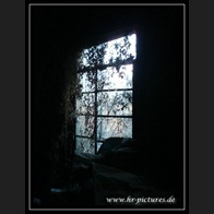 logoDSC00408