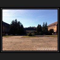 logoDSC00094