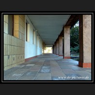 logoDSC00101