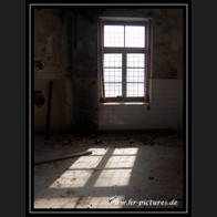 logoDSC00297