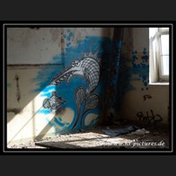 logoDSC00367