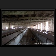 logoDSC00581