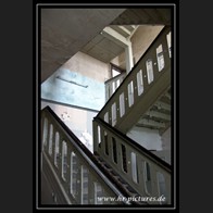 logoDSC00751