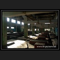 logoDSC01841