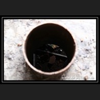logoIMG_2847
