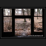 logoIMG_2861