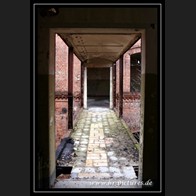 logoIMG_2874