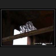 logoIMG_2882