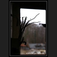 logoIMG_2891