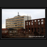 logoIMG_2917