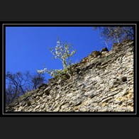 logoIMG_4891