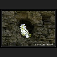 logoIMG_4898