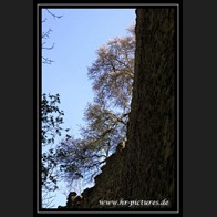logoIMG_4905