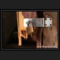 logoIMG_6031