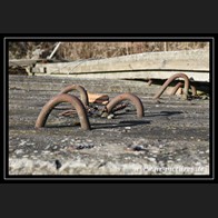 logoIMG_2030