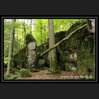 logo_2010_05_16_IMG_0312