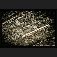 HR__MG_2704