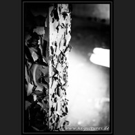 HR__MG_2722