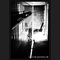 HR__MG_2741
