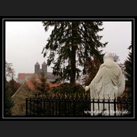 logoDSC07805