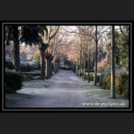 logoIMG_0944