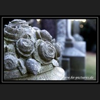 logoIMG_0958