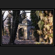 logoIMG_0975