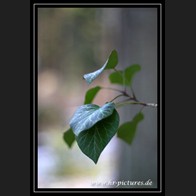 logoIMG_1885