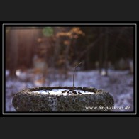 logoIMG_1891