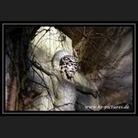 logoIMG_1962