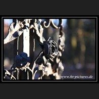 logoIMG_1969