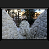 logoIMG_1971