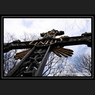 logoIMG_3241