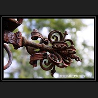 logoIMG_3248
