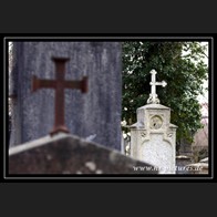 logoIMG_3275