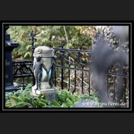 logoIMG_3884