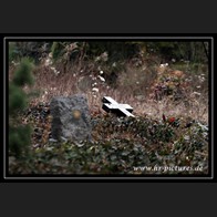 logoIMG_3913