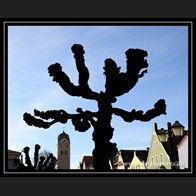 logo_IMG_0087
