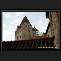 logo_2010_05_09_IMG_0115