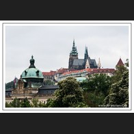 logo_DSC_4570-2