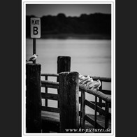 HR_D75_3759