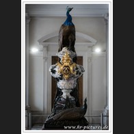 HR_D75_3807
