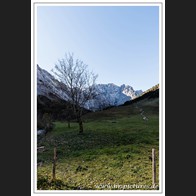 HR_D75_2192