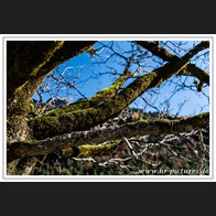 HR_D75_2230