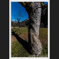 HR_D75_2242