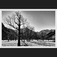 HR_D75_2248-Bearbeitet