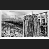 HR_D75_9364-Bearbeitet