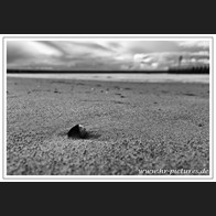 HR_D75_9395-Bearbeitet