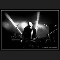 11 Whispers in the Shadow (3)