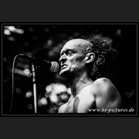 HR_D80_4133